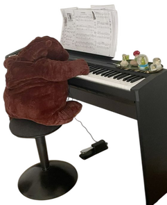 Keyboard 'Skoggy It's a 'skog playing the keyboard